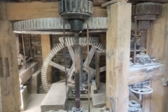 Pit Great Spur Wheel