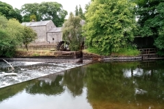 back-martry-mill-2